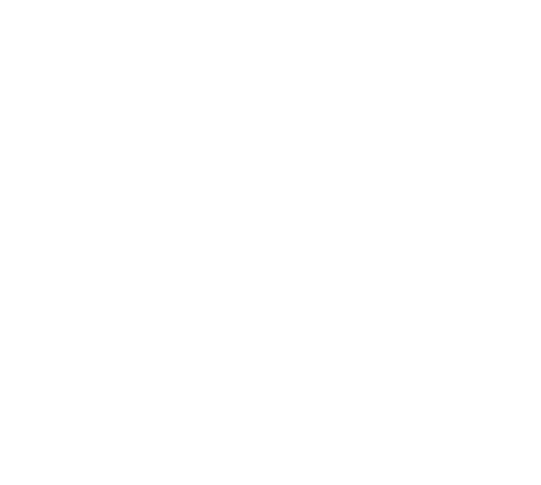 Декоративная молния