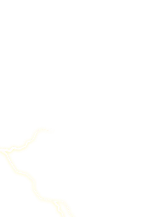 Декоративная молния правый нижний