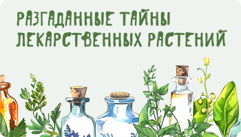 Материалы рассекречены!